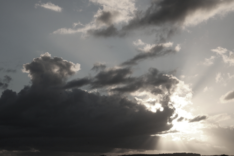 Wolke: Wolkenlandschaften Cumuluswolken Cirruswolken Wolkenbilder